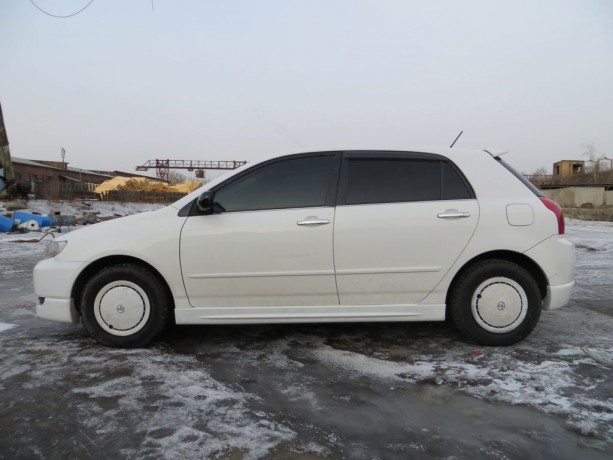Накладки на пороги "Wald" Toyota Corolla Runx/Allex купить недорого с доставкой в Санкт-Петербург