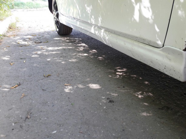 Накладка на пороги "Modelista" Toyota Corolla (141) купить недорого с доставкой в Санкт-Петербург